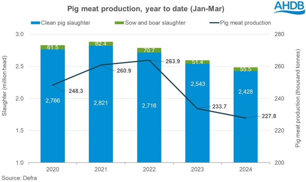 bar car showing UK pig slaighter with a line showing pig meat production, year to date 2024